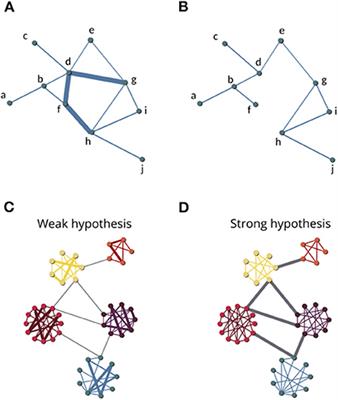 Link and Node Removal in Real Social Networks: A Review